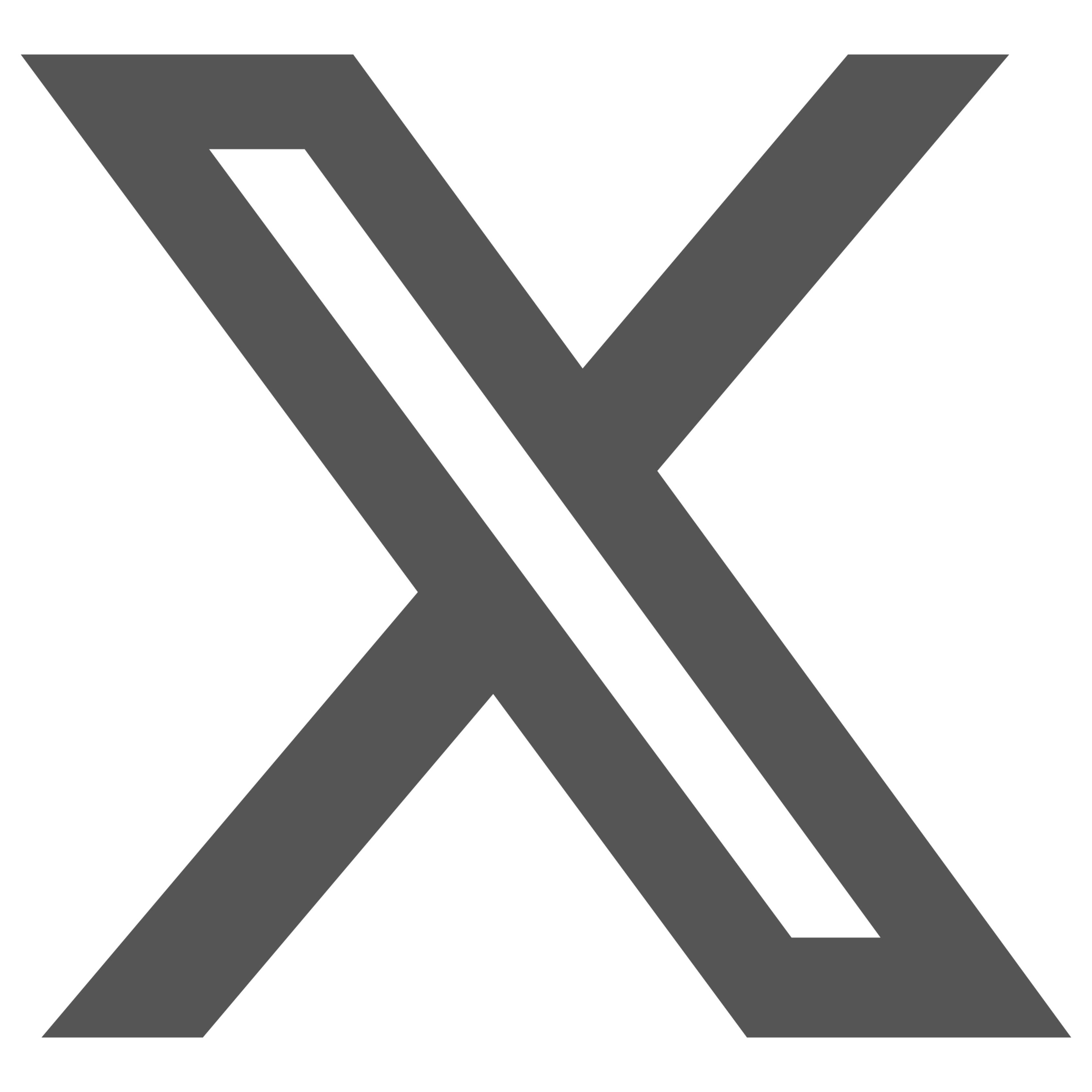 logo- x